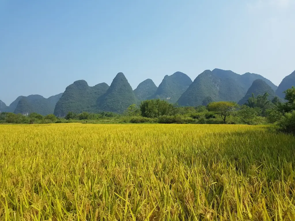 重庆消费市场无线耳机与智能音箱选购指南