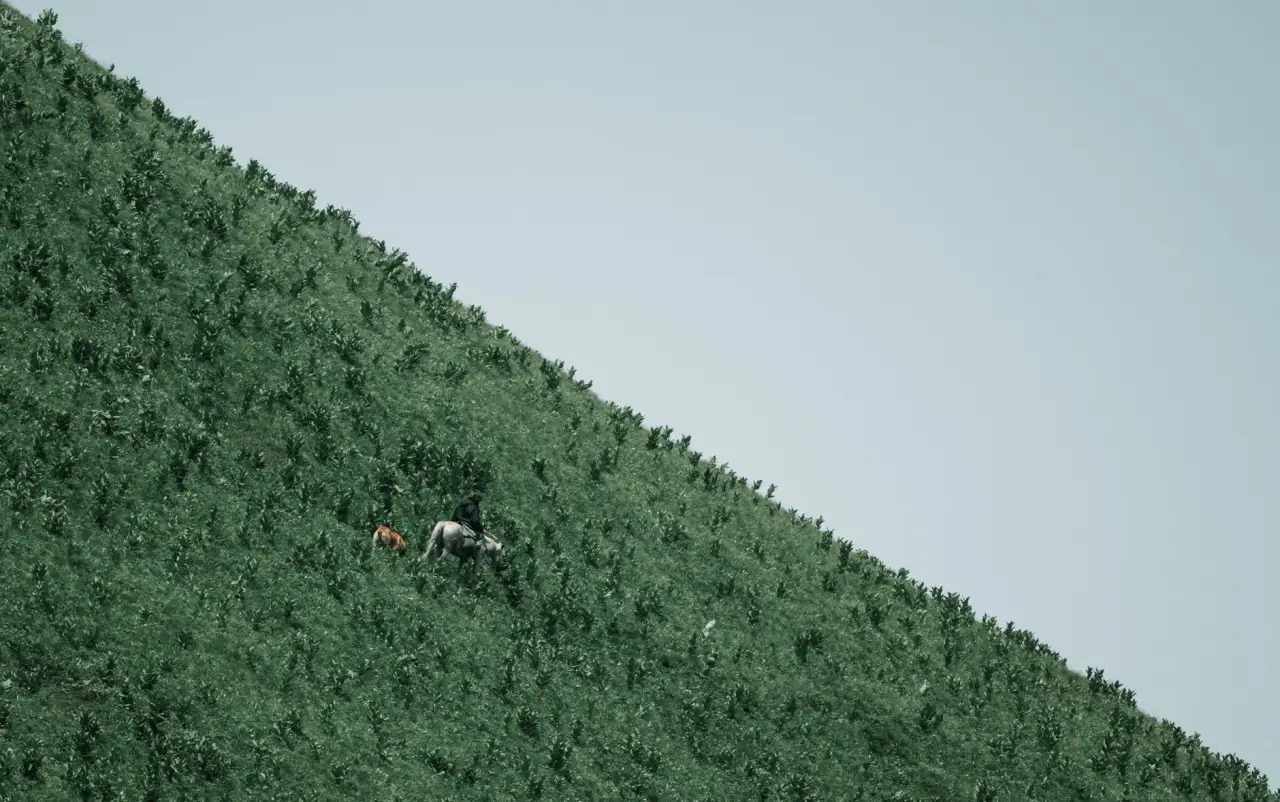 手机配件与充电设备配套方案：消费电子零售场景下的兼容性设计要点