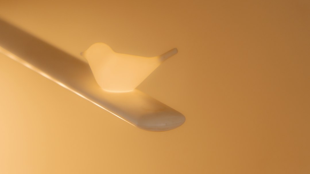 2025年无线耳机与智能音箱技术融合趋势分析